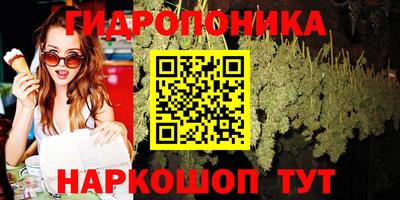 apvp Моздок