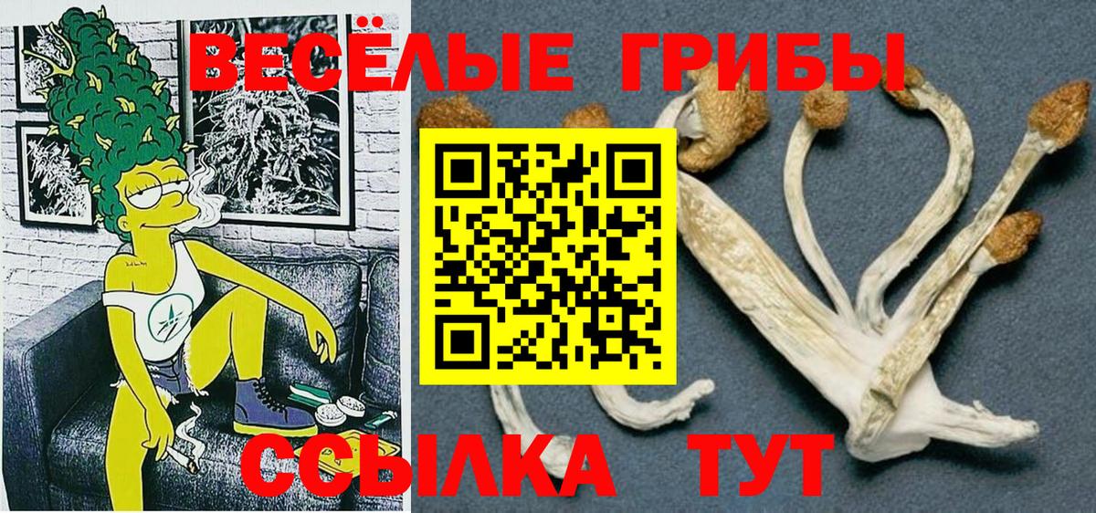 Брянск  Псилоцибиновые грибы мицелий  Вход с VPN 