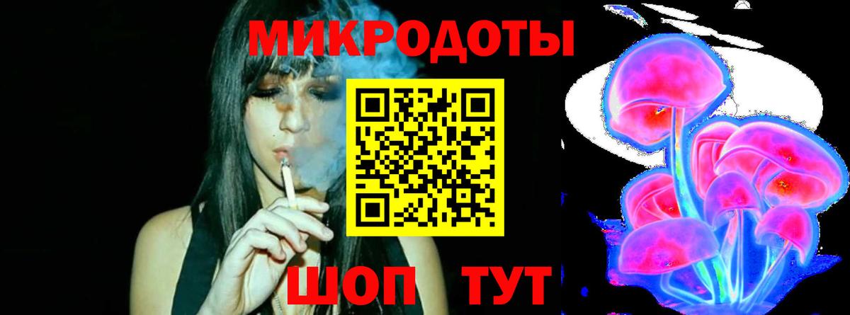 Галлюциногенные грибы Psilocybe Брянск