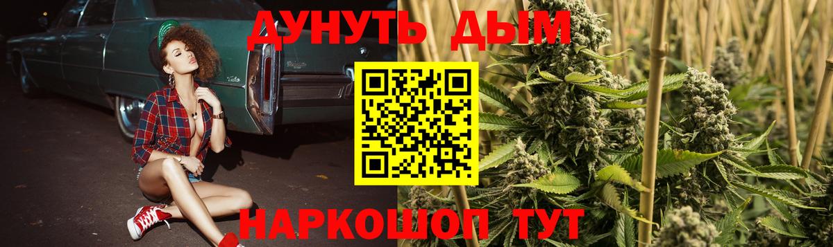 Брянск  Конопля сатива  Конопля AK-47  Вход с VPN  Канабис Bruce Banner 